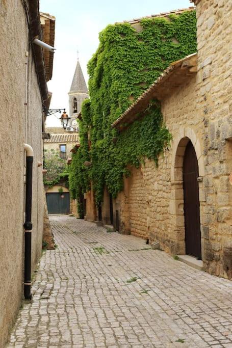 Entre Uzes Et Le Pont-Du-Gard Le Logis D'Autrefois Leilighet Castillon-du-Gard Eksteriør bilde